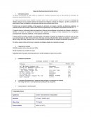 Bases de diseño Acido nitrico