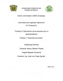 DESCRIPCIÓN DE LA ESTRUCTURA DE UN AGROECOSISTEMA