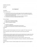 UNIDAD DIDÁCTICA EL JARDÍN.