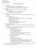 Resumen de los procesos de organización