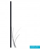 Historia sobre el termino Histeria en piscologia