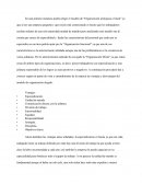 Resumen: Estructura Organizacional de una empresa.