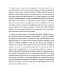 Actividad de aplicación biologia. Sistema endocrino