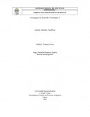 Investigación y Desarrollo Tecnológico II Análisis Artículos Científicos