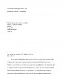 Materia: Los Delitos Penales