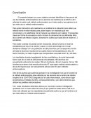 TEMA: CONCLUSION DE PROYECTO