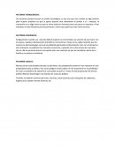 ESTUDIO DE MERCADO VARIABLES DE ESTILO DE VIDA (segmentación pictográfica)
