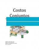 Costos Conjuntos Trabajo de Investigación Grupal