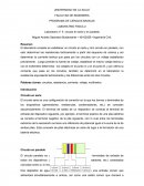 PROGRAMA DE CIENCIAS BASICAS LABORATRIO FISICA 2