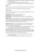 La enseñanza de la lectura debe de realizarse mediante actividades variadas y adecuadas al nivel de los alumnos.