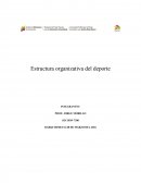 Instituto nacional del deporte
