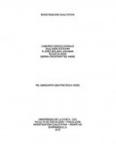 INVESTIGACIÓN CUALITATIVA. – GRUPO AD