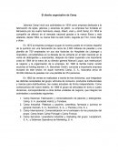 El diseño organizativo de Camp.