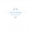 MAPA DE PROCESOS.