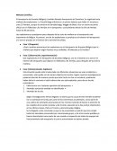 Método Científico. El Aeropuerto de Bruselas (Bélgica)