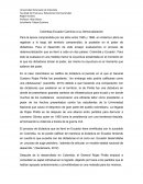 Caminos a la redemocratizacion