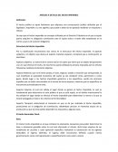 Ensayo - El Hecho Imponible.