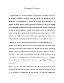 ENSAYO ESTRATEGIAS DE APRENDIZAJE.