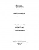 Perfil del ejecutivo de negocios