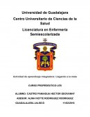 Tema: Atencion primaria de la salud