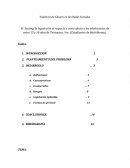 Violencia de Género en las Redes Sociales.