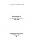 CASO INFORMALIDAD LABORAL