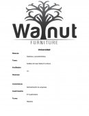 Sistemas y procedimientos caso Walnut furniture
