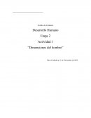 Tema: Dimensiones del hombre