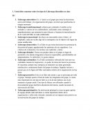 Usted debe comentar sobre los tipos de Liderazgo discutidos en clase