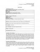 Nutrición en paciente con parálisis cerebral.