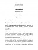 ¿Qué son los esteroides?