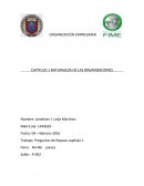 CAPITULO 1 NATURALEZA DE LAS ORGANIZACIONES