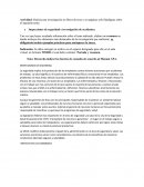 Inspecciones de seguridad e investigación de accidentes.