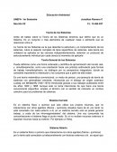 Educación Ambiental. Teoría de los Sistemas