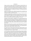 Yumka - Reserva ecológica.