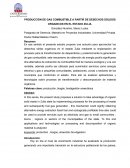 Produccion de Gas Combustible a partir de desechos solidos