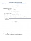 ENTREVISTA INICIAL Terapia Familia