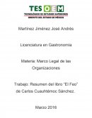 Resumen del libro “El Feo” de Carlos Cuauhtémoc Sánchez.