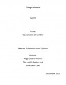 Ensayo “La evolución del hombre”