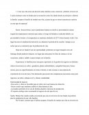 Crear una viña sería una decisión tanto familiar como comercial.