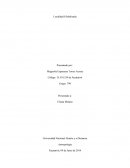 Localidad Globalizada