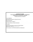 Programa analitico de marketing