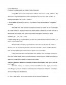 Presidente Constitucional de los Estados Unidos Mexicanos.