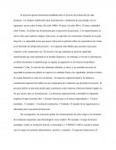 Procesos de producción.