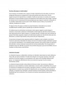 Normas del grupo y Conformidad.