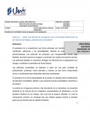 Nombre de la Actividad: Avance de proyecto de investigación.