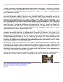 El problema de los nutrientes en canales nacionales: Xochimilco.