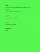 Diseña y administra bases de datos simples.