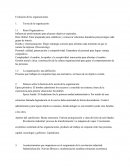RESUMEN TEORIA DE LAS ORGANIZACIONES.