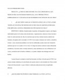 NUCLEO PROBLEMICO DOS